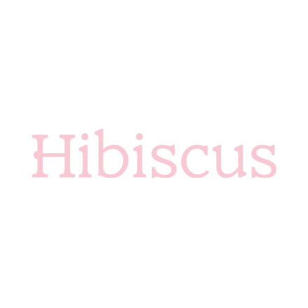 Hibiscus Initiatives Ltd